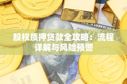 武汉股权质押贷款全攻略：流程详解与风险预警