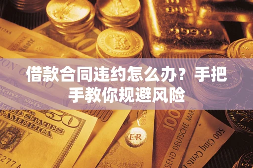 武汉借款合同违约怎么办？手把手教你规避风险