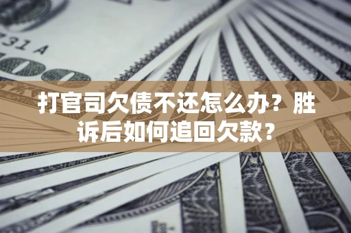 武汉打官司欠债不还怎么办？胜诉后如何追回欠款？
