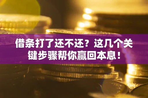 武汉借条打了还不还？这几个关键步骤帮你赢回本息！