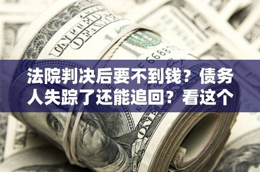 武汉法院判决后要不到钱？债务人失踪了还能追回？看这个方法！