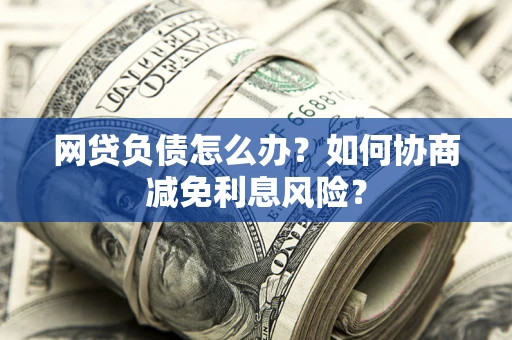 武汉网贷负债怎么办？如何协商减免利息风险？
