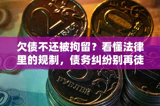 武汉欠债不还被拘留？看懂法律里的规制，债务纠纷别再徒劳奔波