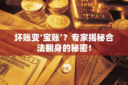 武汉坏账变‘宝账’？专家揭秘合法翻身的秘密！