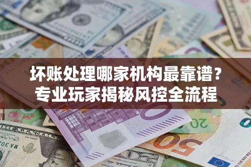 武汉坏账处理哪家机构最靠谱？专业玩家揭秘风控全流程