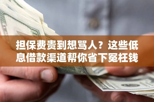 武汉担保费贵到想骂人？这些低息借款渠道帮你省下冤枉钱