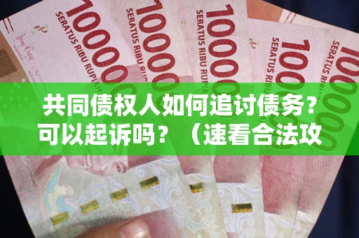 武汉共同债权人如何追讨债务？可以起诉吗？（速看合法攻略）