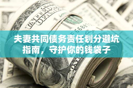 武汉夫妻共同债务责任划分避坑指南，守护你的钱袋子