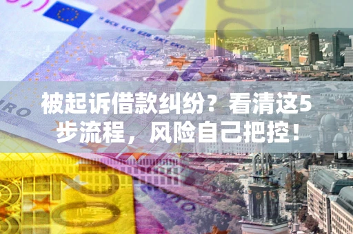 武汉被起诉借款纠纷？看清这5步流程，风险自己把控！