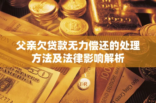武汉父亲欠贷款无力偿还的处理方法及法律影响解析