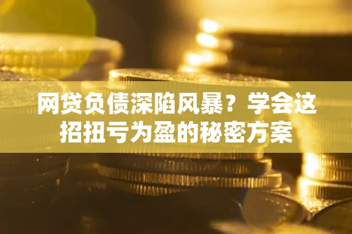 武汉网贷负债深陷风暴？学会这招扭亏为盈的秘密方案