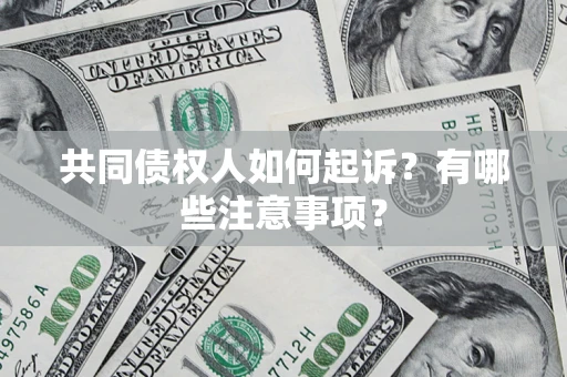 武汉共同债权人如何起诉？有哪些注意事项？